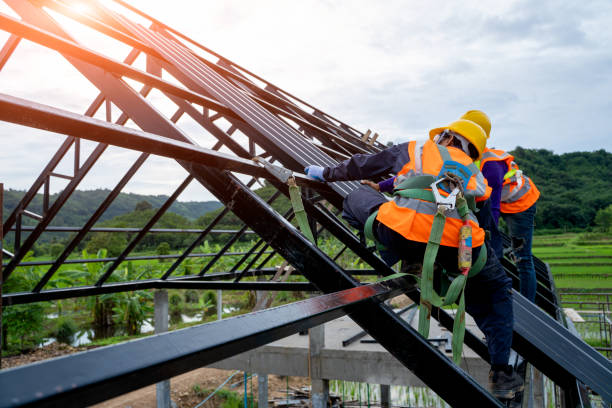 Professional Roofing Contractor in Holly Hills, CO