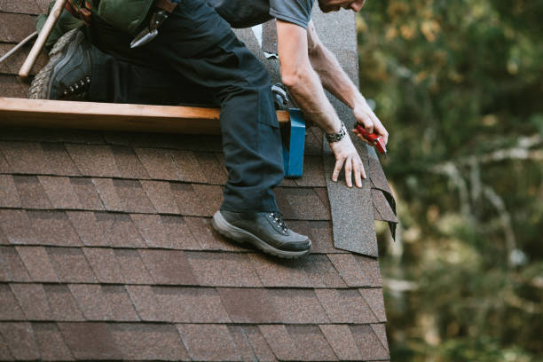Best Roof Maintenance Services  in Holly Hills, CO